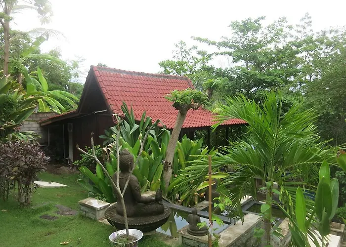 Pt Putra Momongan Menyelam Scuba Guest house
